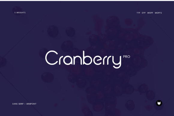 Cranberry Display Font for Modern Web Design